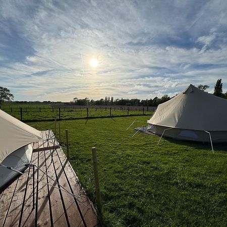 Camp Mangoeste زيديلغيم المظهر الخارجي الصورة