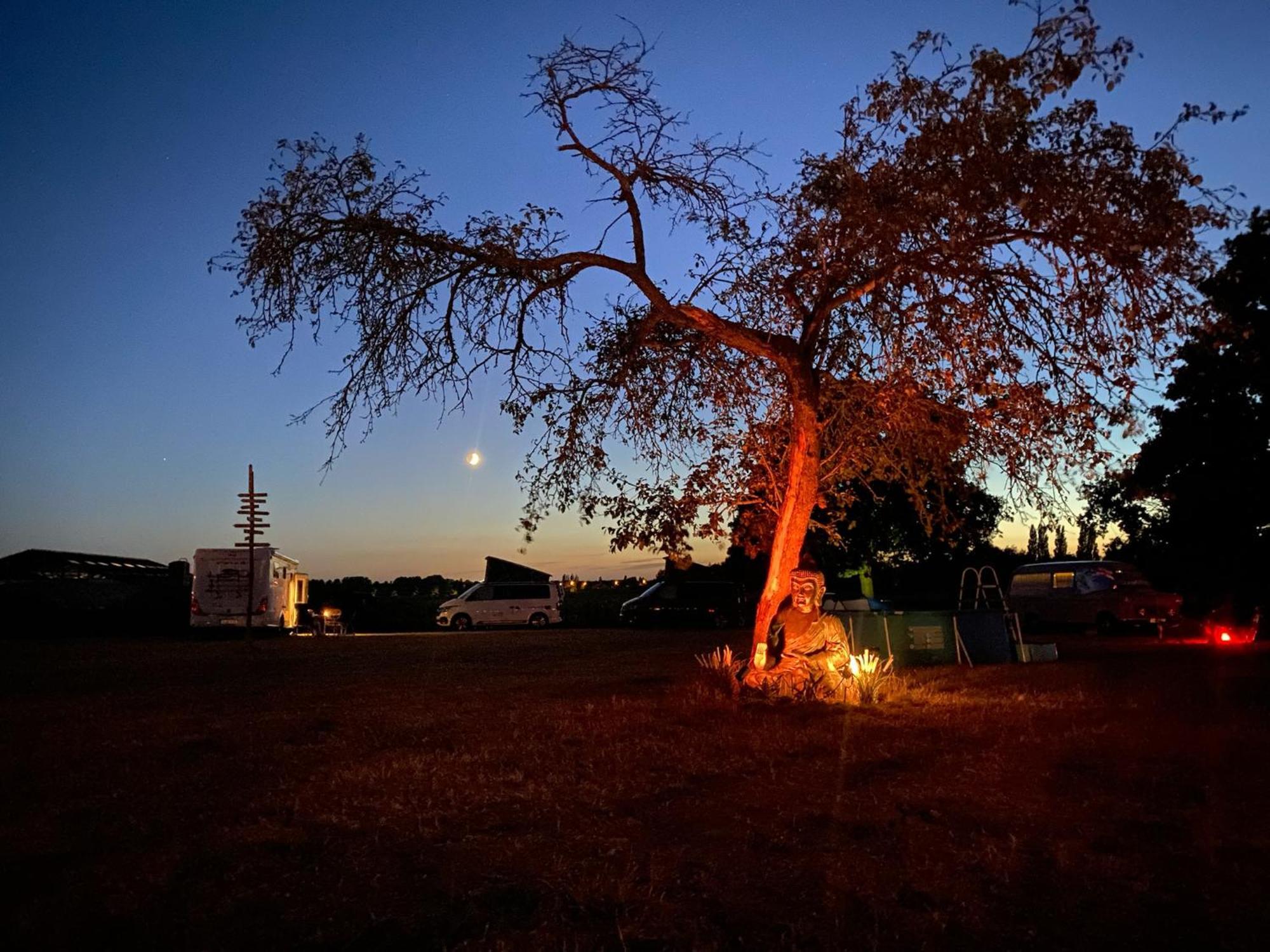 Camp Mangoeste زيديلغيم المظهر الخارجي الصورة